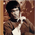Bruce Lee, Words of the Dragon: Interviews, 1958-1973 free ebook download