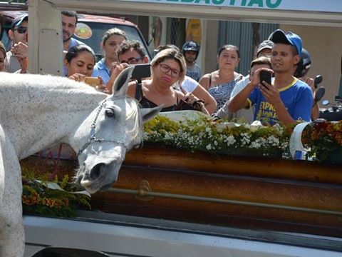 Cavalo  se despede do dono e emociona a todos