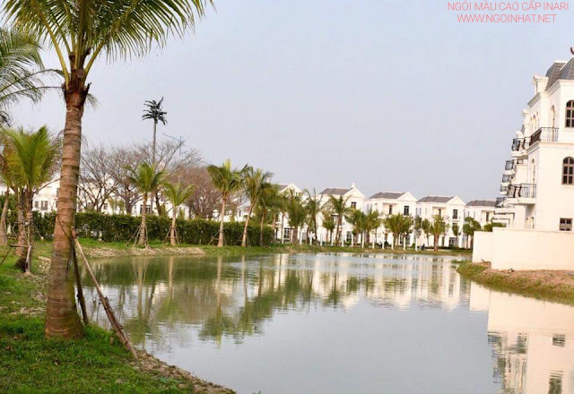 Vinhomes Riverside Long Biên