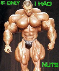muscleMan