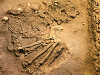 10,000-Year-Old Human Remains Discovered in Vietnam.