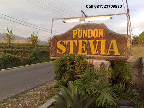 Hotel stevia ciwidey