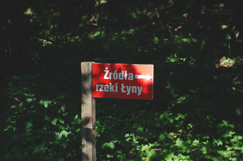 Rezerwat Źródła Rzeki Łyny