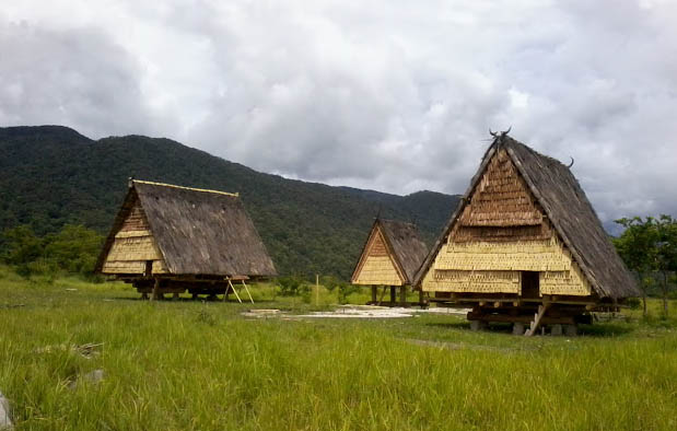 Rumah Adat Sulawesi Tengah Rumah Tambi Gambar dan 