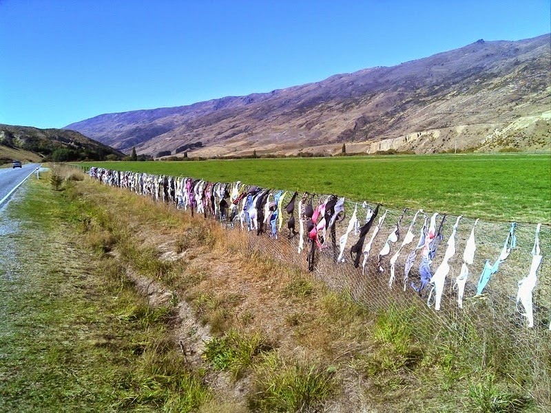 cardrona-bra-fence-6 cardrona-bra-fence-6