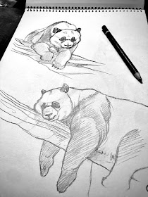 10-Panda-bear-sleeping-Animal-Drawings-Eve-Berthelette-www-designstack-co