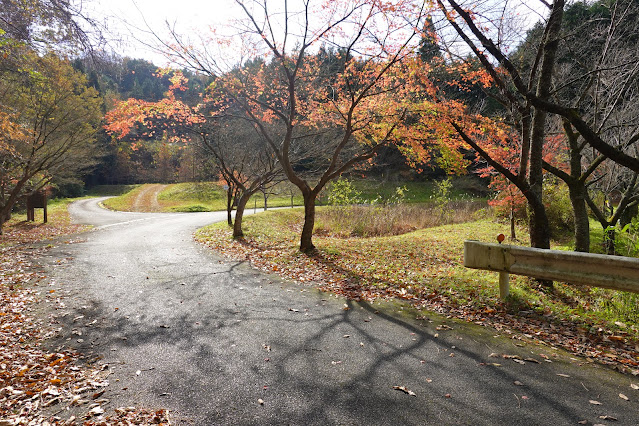 鳥取県西伯郡南部町下中谷 緑水湖 遊歩道