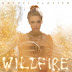 Tracklist: Rachel Platten - Wildfire