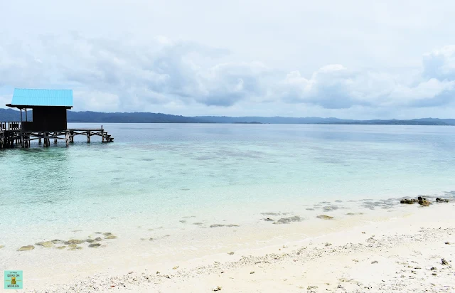 Jetty de Arborek, Raja Ampat