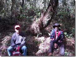 hike jamuquen (5)
