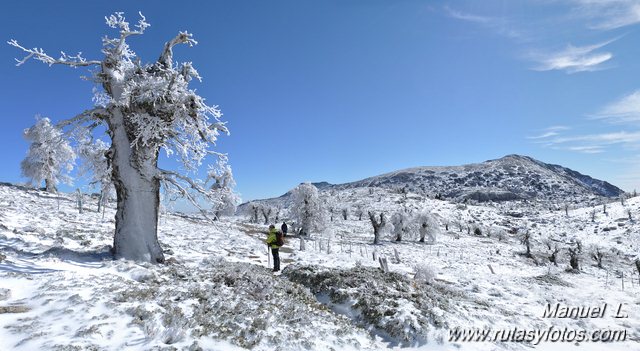 Subida al Torrecilla (II)