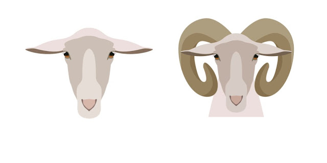 Lamb and Ram