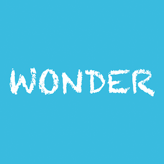 wonder