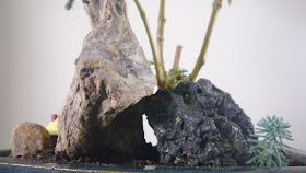 driftwood on volcanic rock