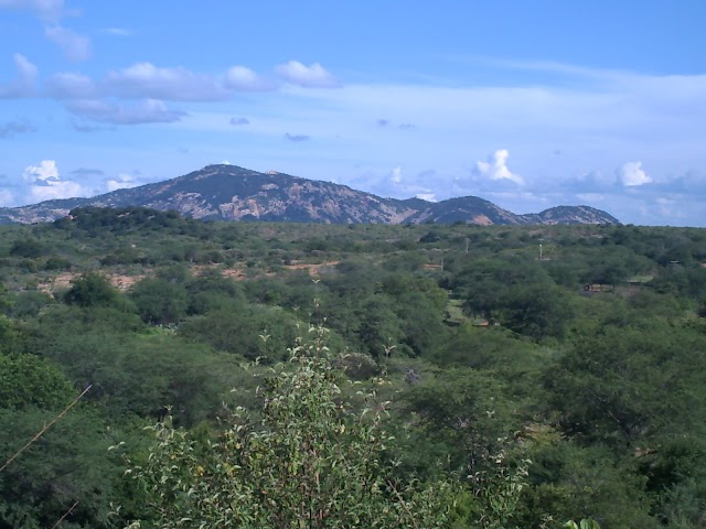 Meu Cariri está verde