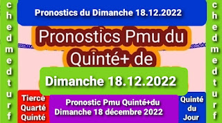 PRONOSTIC PMU QUINTE+ DU DIMANCHE 18/12/2022