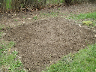 Leveled garden plot with gravel removed