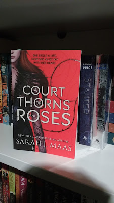 [#41] Recenzja "A Court Of Thorns And Roses" by Sarah J. Maas