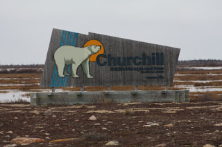 Churchill Wildlife Management Area.