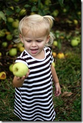 Apple picking sadie 2