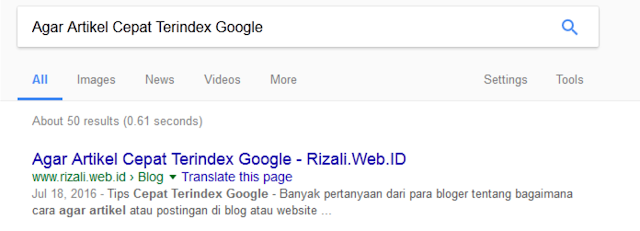 Agar Artikel Cepat Terindex Google