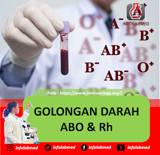 GOLONGAN DARAH ABO & Rh atlm patelki