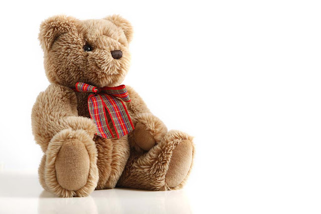 Teddy bear story, teddy bear history, facts about teddy bears, teddy bear stories for grownups,