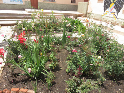 Der einsetzende Regen tat meinen Blumen gut