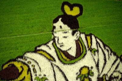 Japanese Rice Paddy Art 2010 Seen On www.coolpicturegallery.net