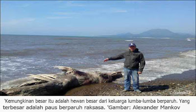 Ditemukan Mahluk Aneh Di Pulau Sakhalin