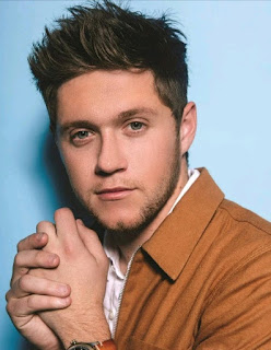 Lirik Lagu Too Much to Ask - Niall Horan