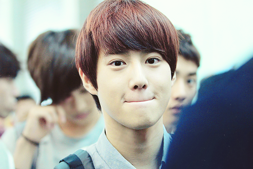 exo-exo-k-suho-cute-Favim.com-508514.png