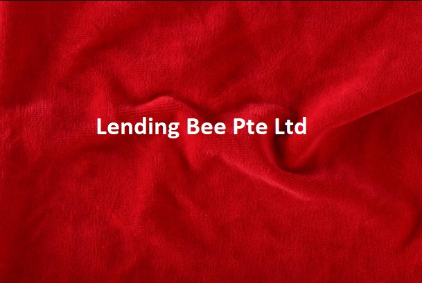 Customer Service Officer Jobs In Lending Bee Pte Ltd