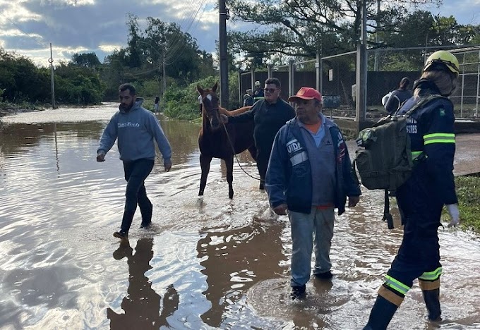 Prefeitura doa ração para animais resgatados e de famílias atingidas pela enchente em Cachoeirinha