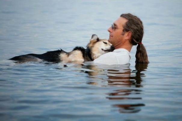 20+ Photos That Will Restore Your Faith In Humanity - Every Evening, This Man Takes His Sick Dog To A Lake Because The Water Helps His Pain Subside