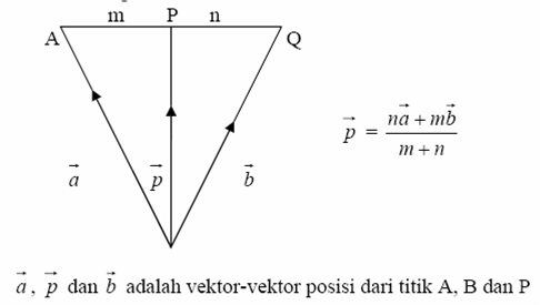 Tutorial Matematika: Vektor