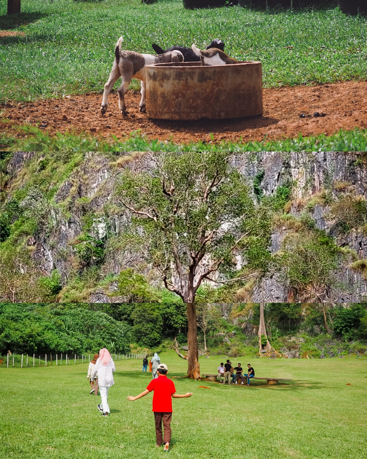 Bukit Chabang Mari, Perlis