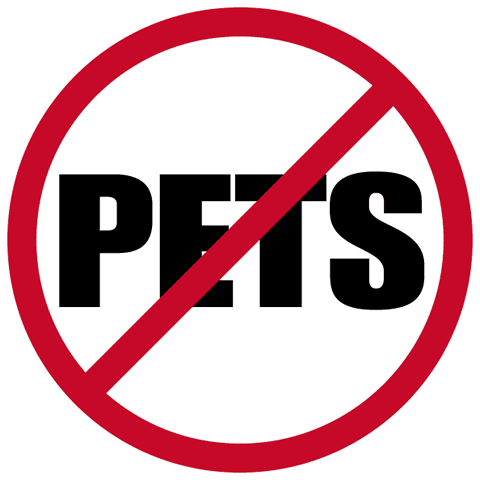 Pets Smart 