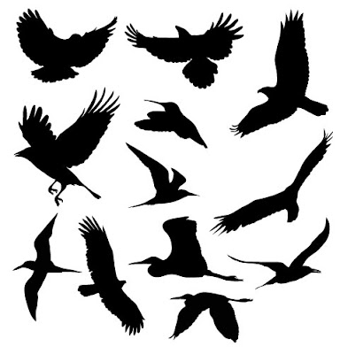 free bird vectors  - vector art