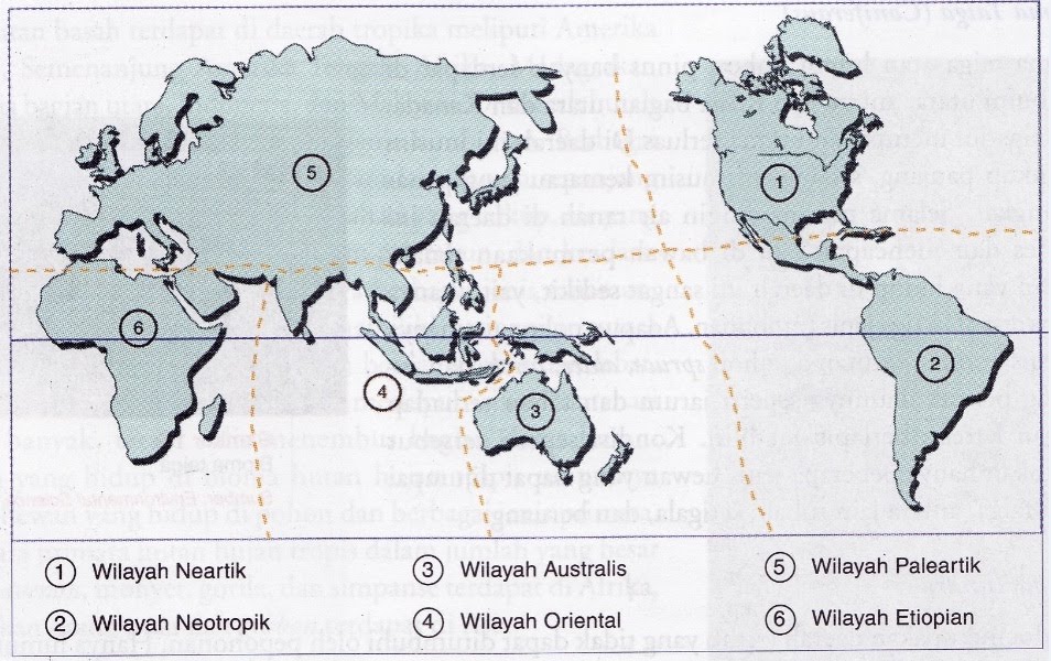 peta wilayah  fauna  di  dunia