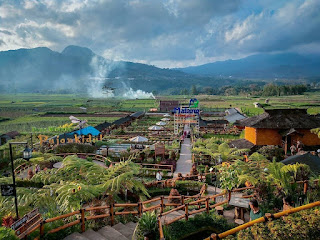 cafe sawah desa wisata pujon kidul