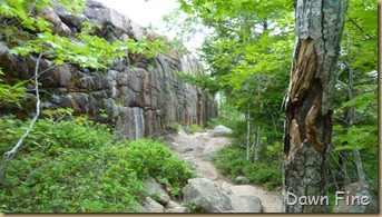 Gorham mt hike_085