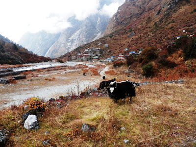 Enlacima-Aldea-Beding-valle-de-Rolwaling-Nepal-Himalaya