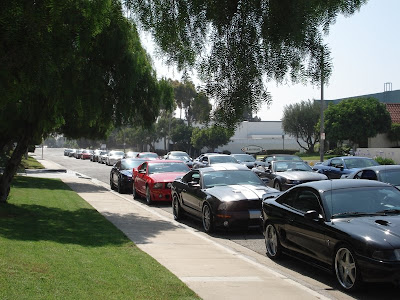 Mustangs arriving for the show