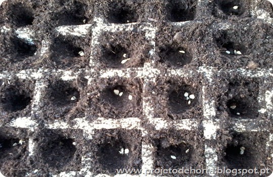 fazer viveiros plantas