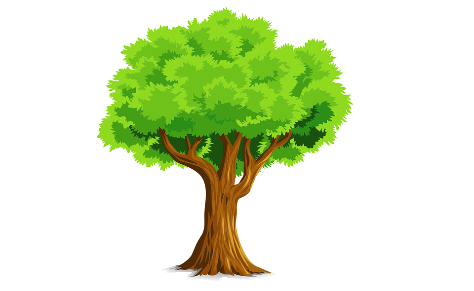 Ada yang Tahu 1 Pohon  Mampu Menghasilkan Oksigen untuk 
