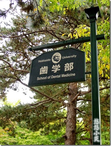 P1040094