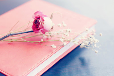 flor,livro,rosa,pink,