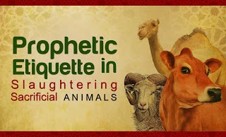 Etiquette of slaughtering animals,Eid-ul-Adha