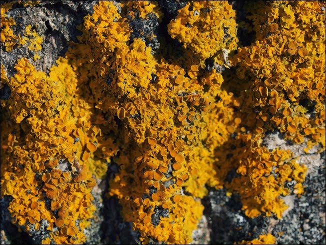 P3060034